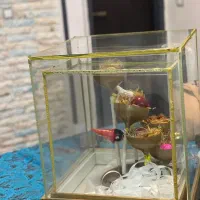 باکس سه تیکه شیشه ایی