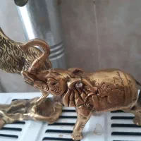 حیوانات برنجی