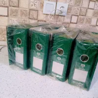 زونکن پاپکو نو