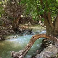 تور یک روزه طبیعت زیبا و بکر گمبیل