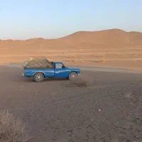 نیسان|خودرو سواری و وانت|زاهدان, |دیوار