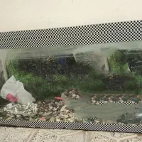 اکواریوم با تجهیزات|ماهی|بروجرد, |دیوار