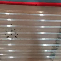 سانتور|سازهای سنتی|آستانه اشرفیه, |دیوار