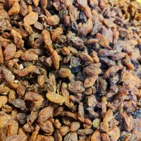 کشمش گله و خرما ضایعات نقد و اقساط|خوردنی و آشامیدنی|مشهد, شهید مطهری|دیوار