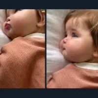 نیازمند رحم اجاره ای