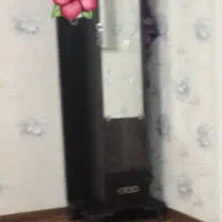 جا کفشی اینه ای