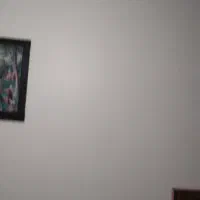 استاد کار نقاشی ساختمان|خدمات پیشه و مهارت|محمدشهر, ولدآباد|دیوار