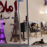 اجاره طبقه بالا دو خواب بلوار امام حسین امامشهر