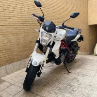بنلی ۳۰۰