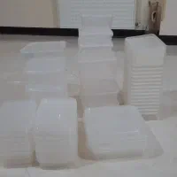 ظروف نظم دهنده