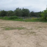 فروش زمین زیر قیمت منطقه