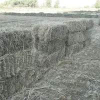 پرس کلش برنج|لوازم جانبی حیوانات|تاکستان, |دیوار