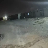 کارگر مرغداری