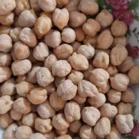 فروش نخود سفید درشت بهار