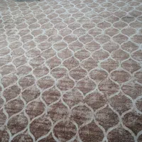 پالاز موکت فقط دوماه استفاده کردم|موکت|یاسوج, |دیوار