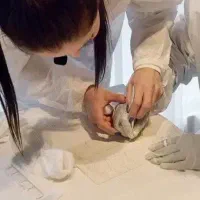 آموزش آرایشگری باارائه مدرک فنی حرفه ای|خدمات آموزشی|ازنا, |دیوار