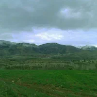 مزرعه-و-باغ-دوهکتاری-سنددار-دارای-مجوز-چاه