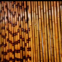 چوب بامبو....|مصالح و تجهیزات ساختمان|تهران, پیکان شهر|دیوار