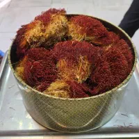 عناب|خوردنی و آشامیدنی|فولادشهر, مسکن مهر فولادشهر|دیوار