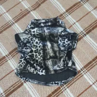 تعدادی وسایل سگ ویسری لوازم شخصی