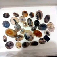 تعدادی سنگ شجروغیره