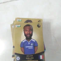 یک تیرو دو شان|کلکسیون و سرگرمی|قم, انسجام|دیوار