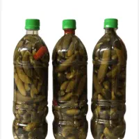 خیارشور ترشی آبغوره ناردونه مویز انجیر