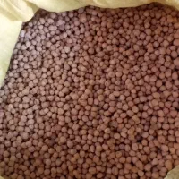 نخود ابگوشتی