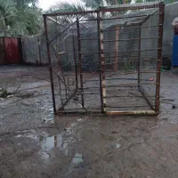 قفس یک متر 10طول یک متر 10عرض یک متر ارتفاع