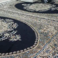 ۲ عدد فرش ۶ متری|فرش|اندیمشک, |دیوار