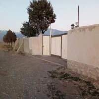 اجاره گاوداری با ظرفیت 100راس در دشت