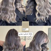 برای افزایش کاتالوگ مدل پذیرفته میشود