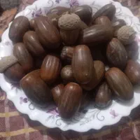 بلوط درشت وخاص پسند|خوردنی و آشامیدنی|خوی, |دیوار