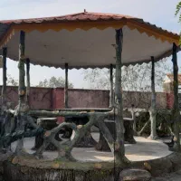 خانمی مجرد جهت آشپزی برای زوج پزشک