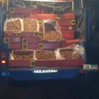 خرمای زاهدی خشک