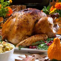 اردک دورگه مسکویی-پکنی|حیوانات مزرعه|خلیل شهر, |دیوار