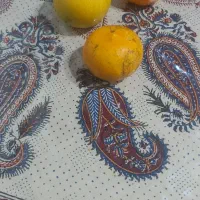 پرتقال خونی تامسون بی دانه فروش فوری