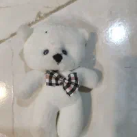 شناسنامه گم شده