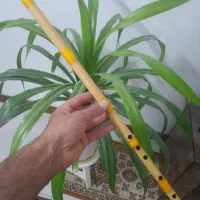 نی هفتبند استاد صنایعی