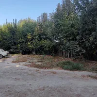 زمین باغ ویلا در بهترین لوکیشن در ابعاد مختلف|فروش دفتر صنعتی، کشاورزی، تجاری|قهدریجان, |دیوار