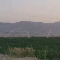 اجاره ۹هکتارونیم زمین مرغوب  بارانی برا کاشت پیاز|اجارهٔ دفتر صنعتی، کشاورزی، تجاری|روانسر, |دیوار