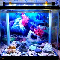 آکواریوم ماهیران شیشه خم|ماهی|الیگودرز, |دیوار