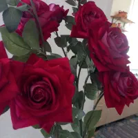 رز سه گل|گل مصنوعی|نهاوند, |دیوار