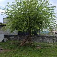 فروش زمین های شما در کمترین زمان ممکن بصورت نقدی