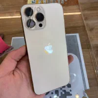iPhone 13promax