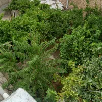 خانه ویلایی واقع در روستای سرسبز محمد آباد عربها|فروش خانه و ویلا|جوادآباد, |دیوار