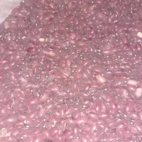فروش یه تن لوبیا قرمز پزو