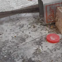 کفتر