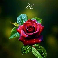 نیازمند سرویس مدرسه