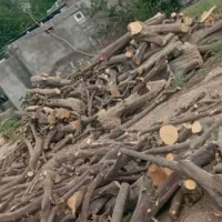 خرید انواع چوب  در خانه و باغ بصورت نقد|خدمات باغبانی و درختکاری|نورآباد ممسنی, |دیوار